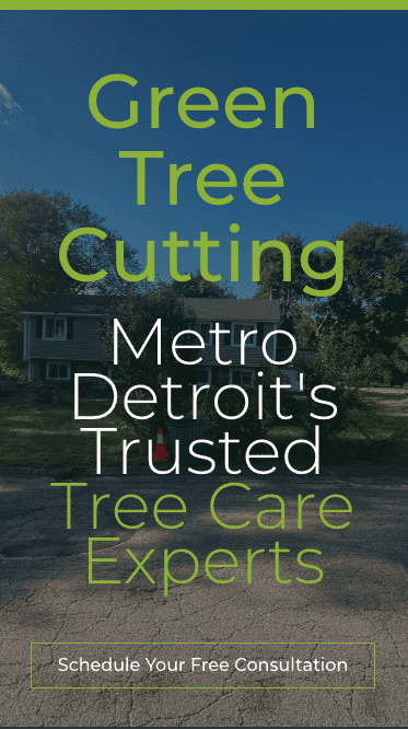 Green Tree Cutting